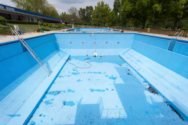 Best Mold removal after water damage  in Man, IL