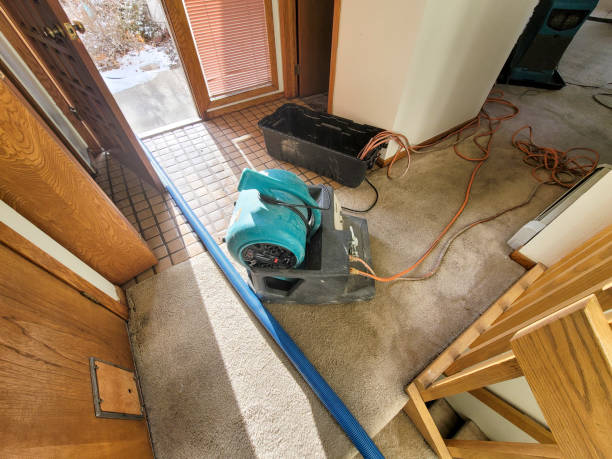 Best Local water damage restoration  in Man, IL