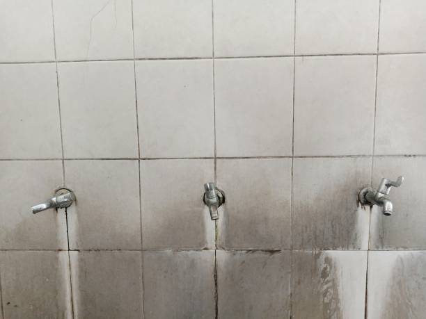 Best Fire Damage Restoration  in Man, IL